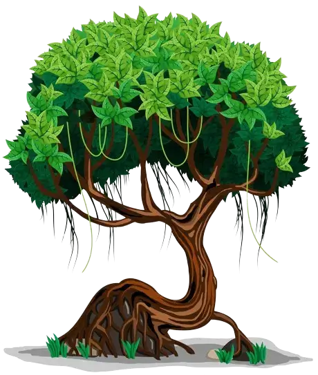 Rainforest tree